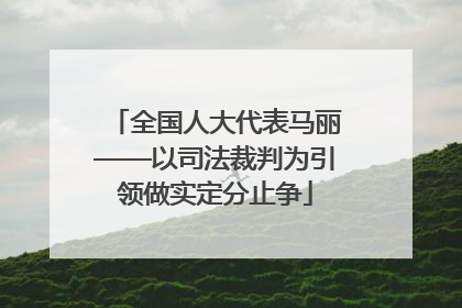 全国人大代表马丽——以司法裁判为引领做实定分止争