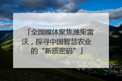 全国媒体聚焦潍柴雷沃，探寻中国智慧农业的“新质密码”