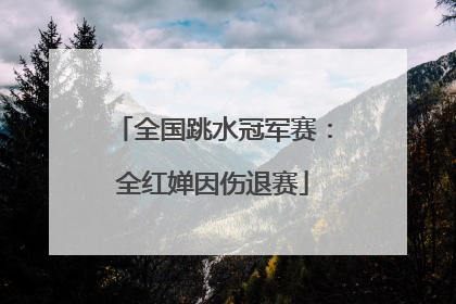 全国跳水冠军赛：全红婵因伤退赛