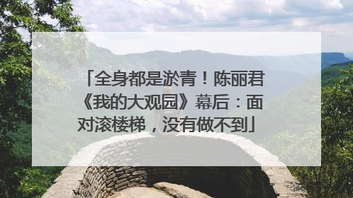 全身都是淤青！陈丽君《我的大观园》幕后：面对滚楼梯，没有做不到