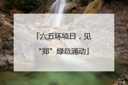 六五环境日，见“郑”绿意涌动