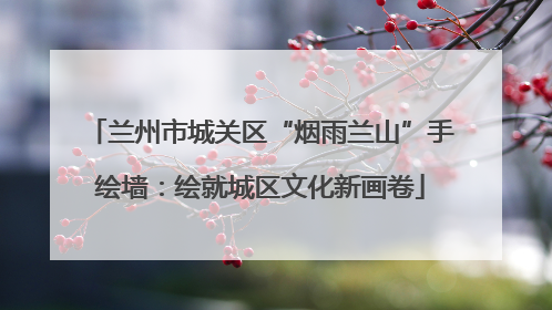 兰州市城关区“烟雨兰山”手绘墙：绘就城区文化新画卷