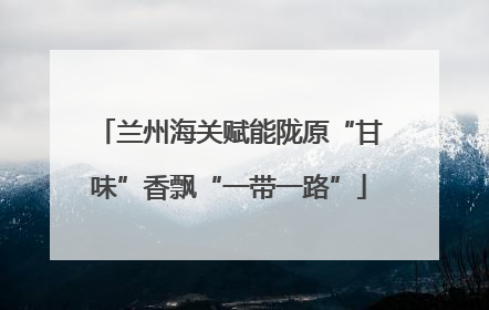 兰州海关赋能陇原“甘味”香飘“一带一路”