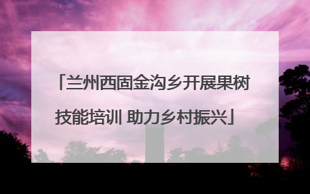 兰州西固金沟乡开展果树技能培训 助力乡村振兴