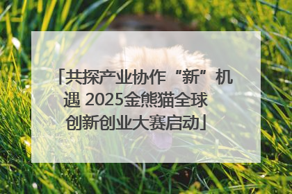共探产业协作“新”机遇 2025金熊猫全球创新创业大赛启动