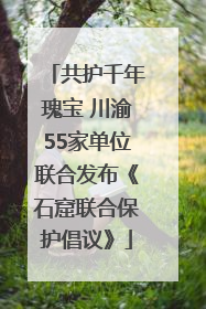 共护千年瑰宝 川渝55家单位联合发布《石窟联合保护倡议》