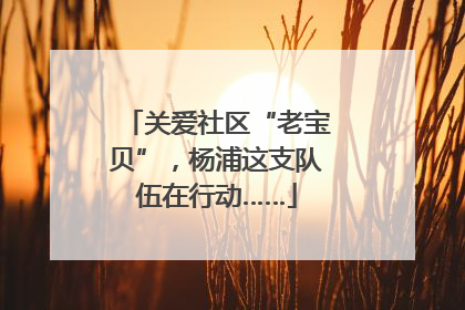 关爱社区“老宝贝”，杨浦这支队伍在行动……
