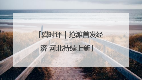 冀时评｜抢滩首发经济 河北持续上新
