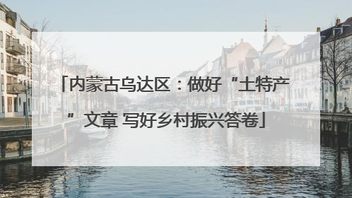 内蒙古乌达区：做好“土特产”文章 写好乡村振兴答卷