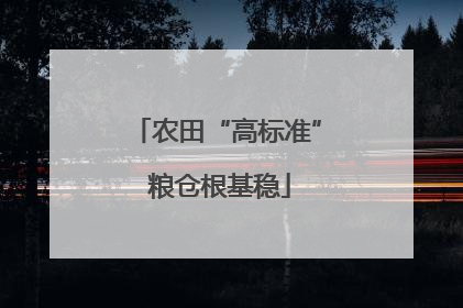 农田“高标准” 粮仓根基稳