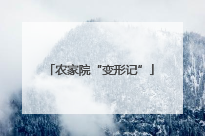 农家院“变形记”