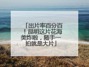 出片率百分百！昆明这片花海美炸啦，随手一拍就是大片