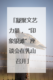 凝聚文艺力量，“印象银滩”座谈会在乳山召开