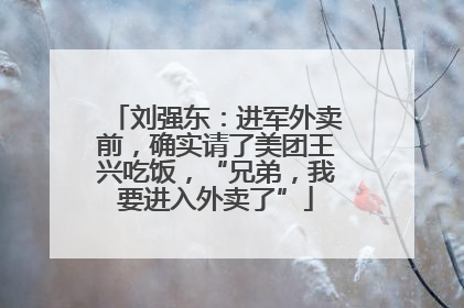 刘强东：进军外卖前，确实请了美团王兴吃饭，“兄弟，我要进入外卖了”