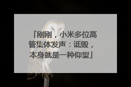 刚刚，小米多位高管集体发声：诋毁，本身就是一种仰望