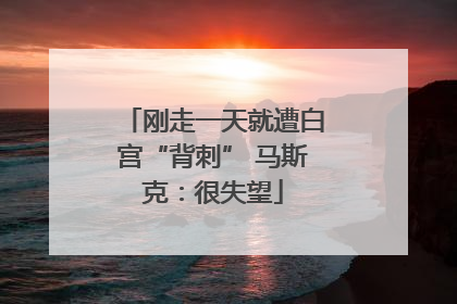 刚走一天就遭白宫“背刺” 马斯克：很失望