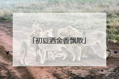 初夏洒金香飘散