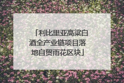 利比里亚高粱白酒全产业链项目落地自贸雨花区块