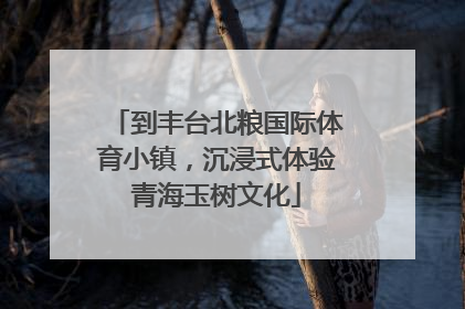 到丰台北粮国际体育小镇，沉浸式体验青海玉树文化