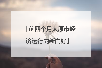 前四个月太原市经济运行向新向好