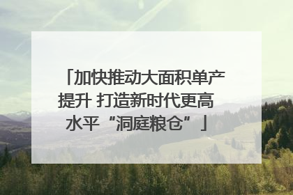 加快推动大面积单产提升 打造新时代更高水平“洞庭粮仓”