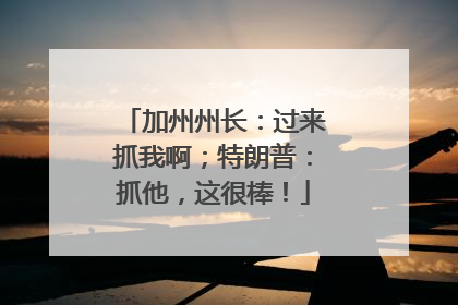 加州州长：过来抓我啊；特朗普：抓他，这很棒！