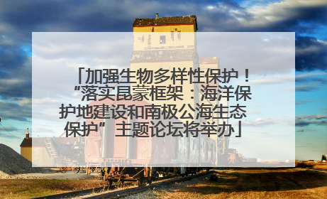 加强生物多样性保护！“落实昆蒙框架：海洋保护地建设和南极公海生态保护”主题论坛将举办