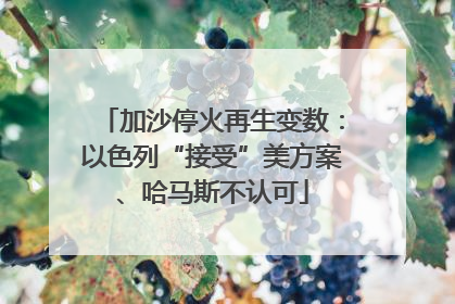 加沙停火再生变数：以色列“接受”美方案、哈马斯不认可