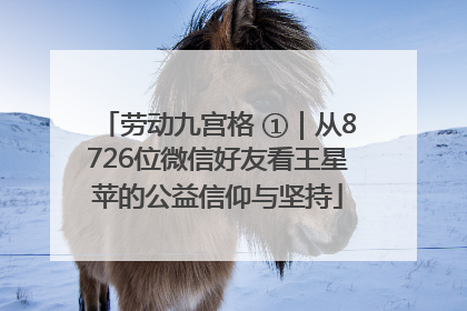 劳动九宫格 ①｜从8726位微信好友看王星苹的公益信仰与坚持