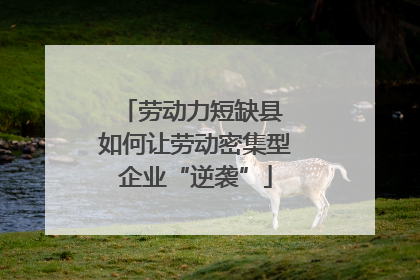 劳动力短缺县 如何让劳动密集型企业“逆袭”