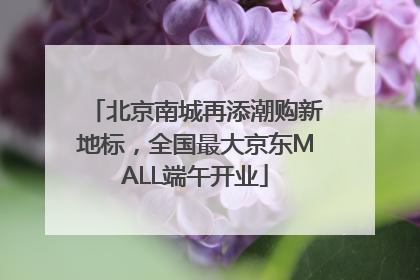 北京南城再添潮购新地标，全国最大京东MALL端午开业