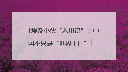 埃及小伙“入川记”：中国不只是“世界工厂”