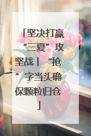 坚决打赢“三夏”攻坚战丨“抢”字当头确保颗粒归仓