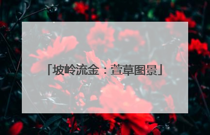 坡岭流金：萱草图景