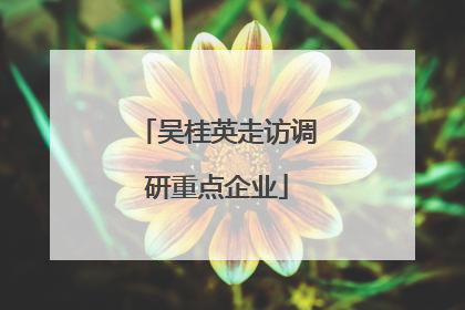 吴桂英走访调研重点企业