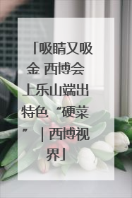 吸睛又吸金 西博会上乐山端出特色“硬菜”｜西博视界
