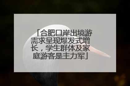 合肥口岸出境游需求呈现爆发式增长，学生群体及家庭游客是主力军