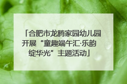合肥市龙腾家园幼儿园开展“童趣端午汇·乐韵绽华光”主题活动