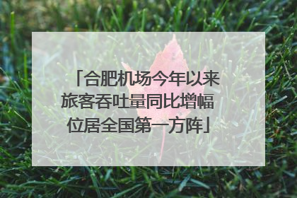 合肥机场今年以来旅客吞吐量同比增幅位居全国第一方阵