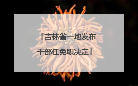 吉林省一地发布干部任免职决定