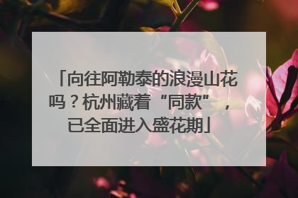 向往阿勒泰的浪漫山花吗？杭州藏着“同款”，已全面进入盛花期