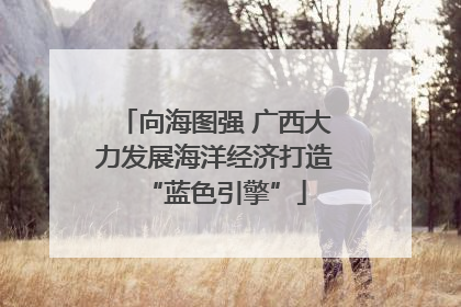 向海图强 广西大力发展海洋经济打造“蓝色引擎”
