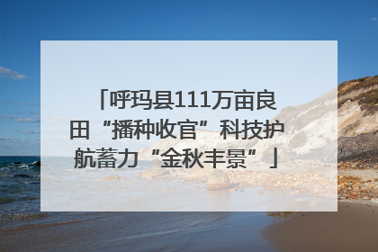 呼玛县111万亩良田“播种收官”科技护航蓄力“金秋丰景”