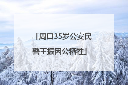 周口35岁公安民警王振因公牺牲