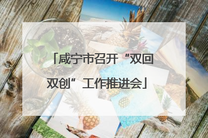 咸宁市召开“双回双创”工作推进会