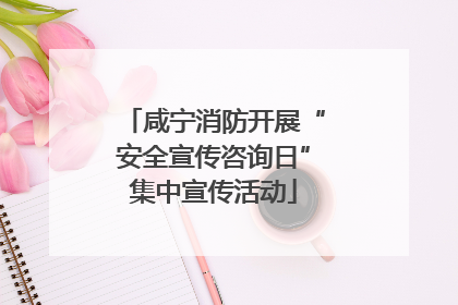 咸宁消防开展“安全宣传咨询日”集中宣传活动