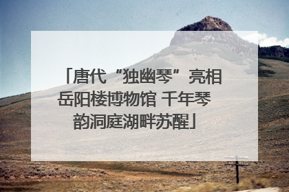 唐代“独幽琴”亮相岳阳楼博物馆 千年琴韵洞庭湖畔苏醒