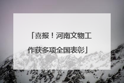 喜报！河南文物工作获多项全国表彰