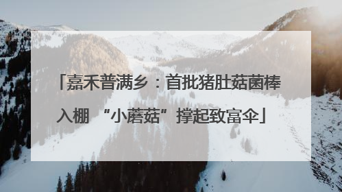 嘉禾普满乡：首批猪肚菇菌棒入棚 “小蘑菇”撑起致富伞