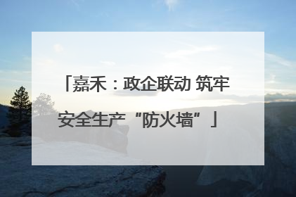 嘉禾：政企联动 筑牢安全生产“防火墙”